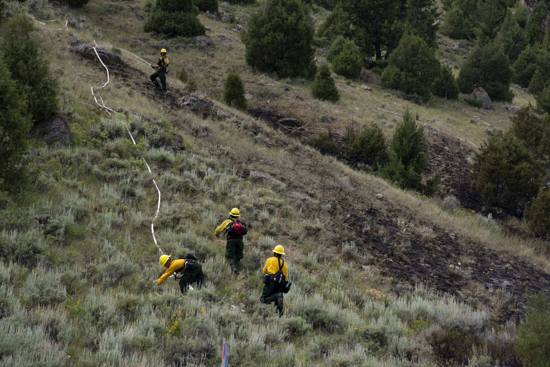 West Gros Ventre Butte Fire